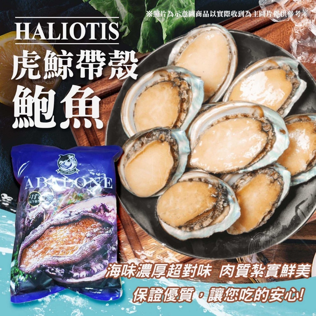 [冷凍][1組2包]虎鯨帶殼鮑魚500g[7粒/包]