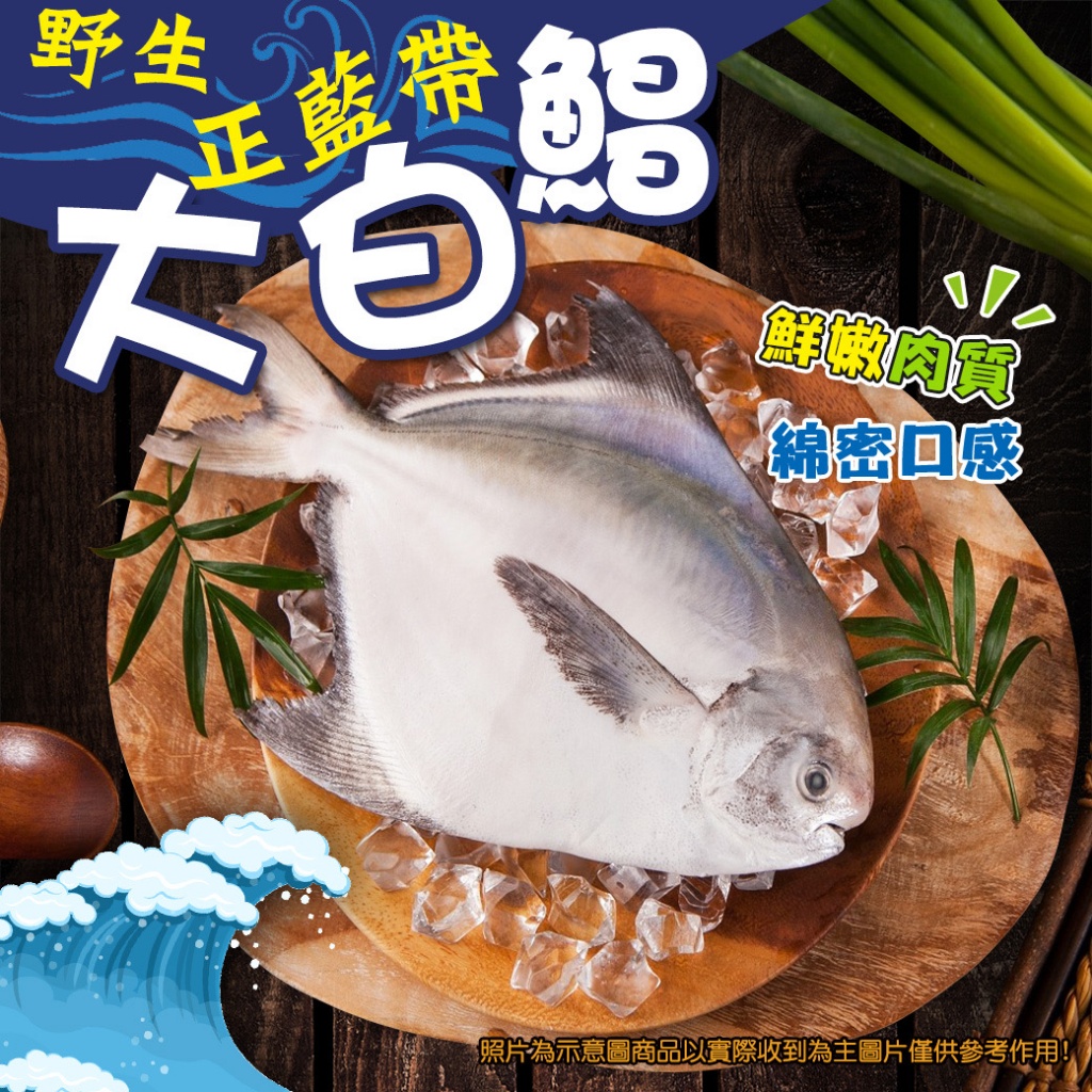[冷凍]野生正藍帶大白鯧魚[500-600g±10%隻]