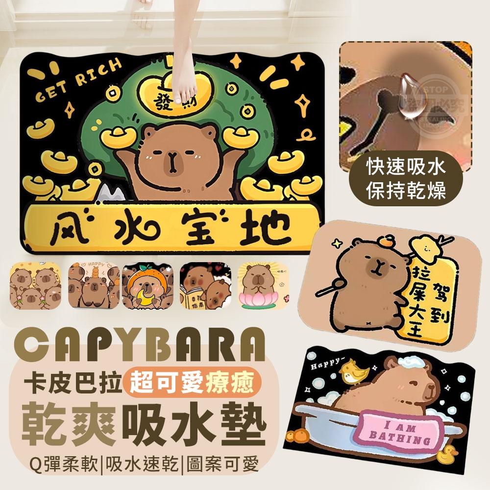 (2個)卡皮巴拉超可愛療癒乾爽吸水墊