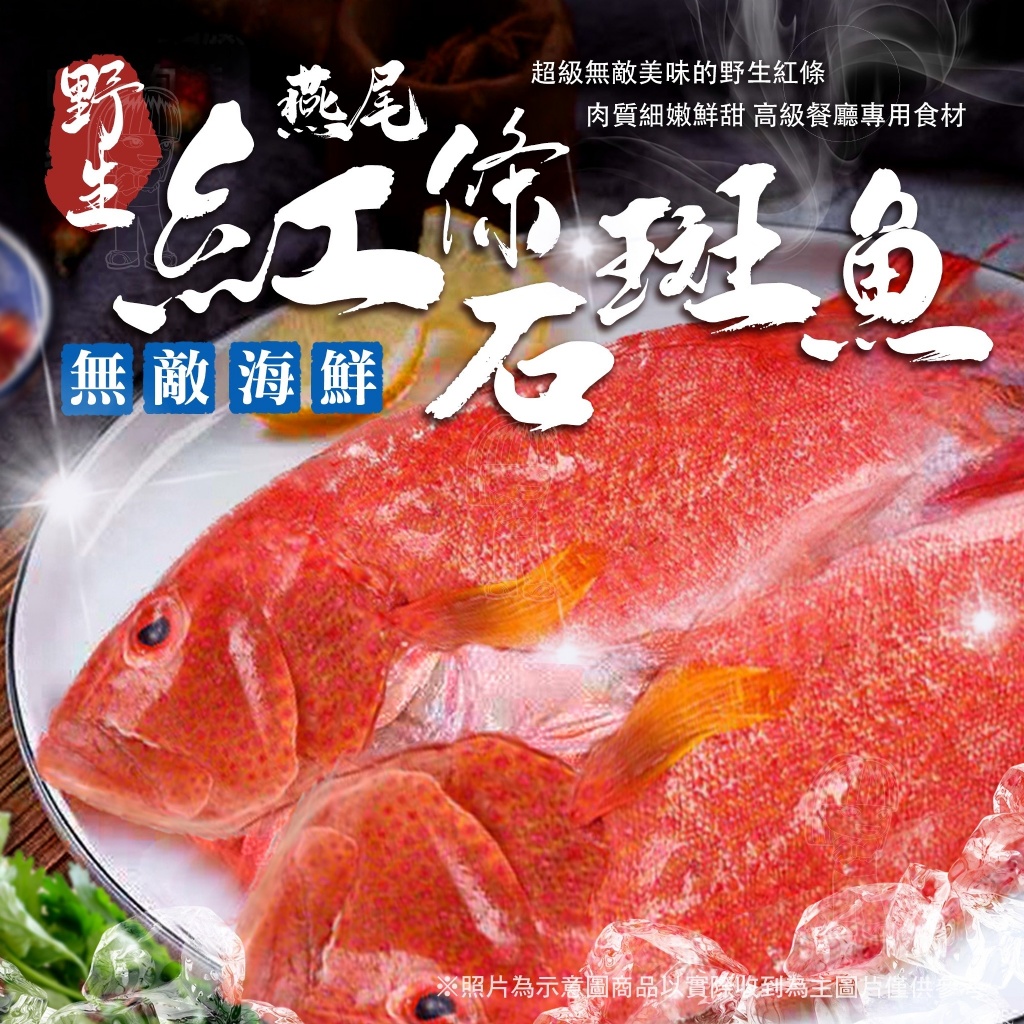 [冷凍]野生燕尾紅條石斑魚[400/500g±10%]